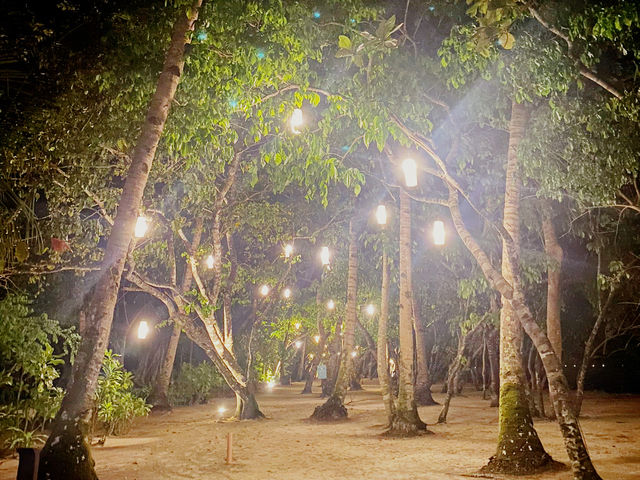 🌅 納克潘海灘 Nacpan Beach|白天天堂、夜晚仙境的雙重魅力 🌅 納克潘海灘 Nacpan Beach|白天天堂、夜晚仙境的雙重魅力