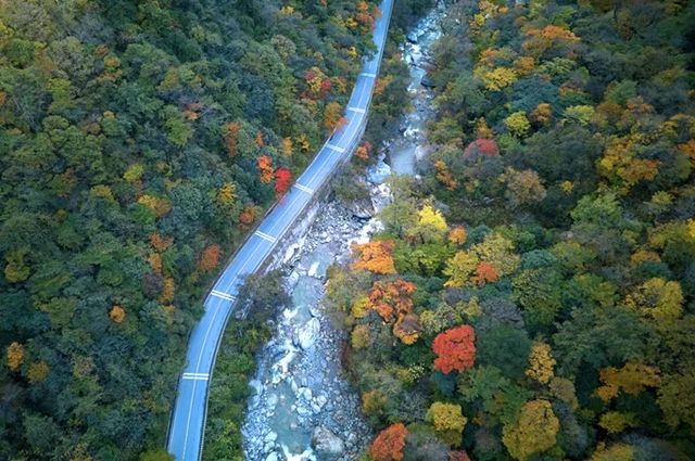 免費小眾景點平武白馬沿途風景--邂逅綠水藍天彩林雪山 免費小眾景點平武白馬沿途風景--邂逅綠水藍天彩林雪山