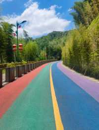 桃花江竹海遊玩攻略：竹知道，你該來浪了！