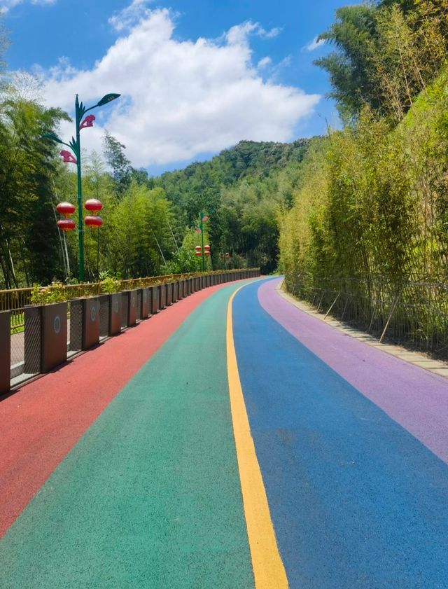 桃花江竹海遊玩攻略：竹知道，你該來浪了！