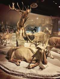 上海自然博物館 | 會呼吸的綠螺,超震撼的自然世界!