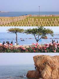 青島9大天然氧吧大公開拍照吸氧兩不誤！