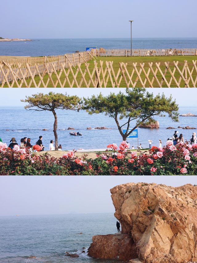 青島9大天然氧吧大公開拍照吸氧兩不誤！