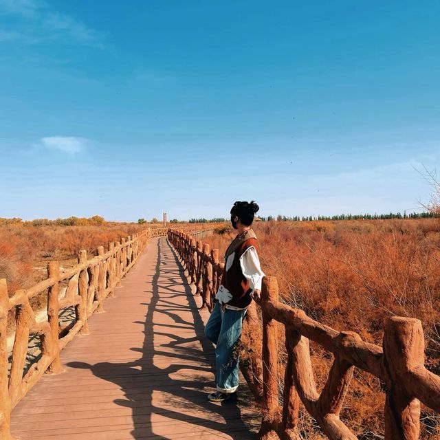 新疆胡楊林公園景區3天2夜5000元旅遊攻略