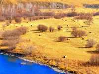 深秋阿爾山騎馬逐浪邂逅大興安嶺最美秋天