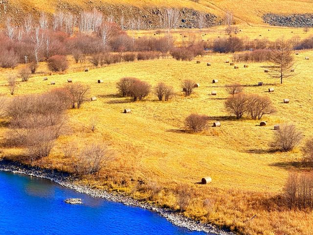 深秋阿爾山騎馬逐浪邂逅大興安嶺最美秋天