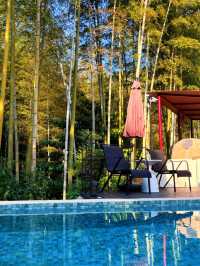 不慌不忙與秋風最後的浪漫