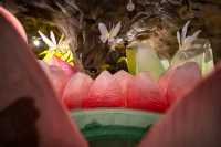 湯泉新啟｜千島湖畔，赴一場暖冬之約