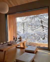 廬山霧淞仙境！這家百年別墅酒店封神了