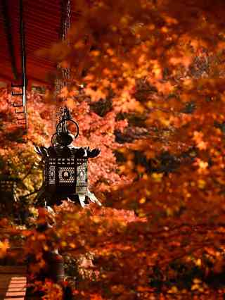 2026年 談山神社秋の風景おすすめ| Trip Moments