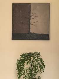 麗江不踩雷民宿！閱山觀景住著太上癮