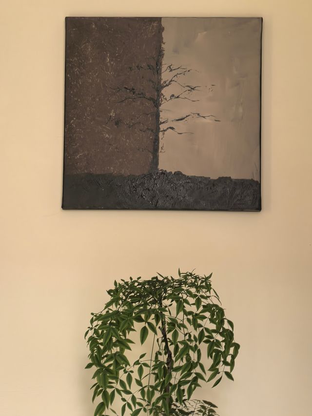 麗江不踩雷民宿！閱山觀景住著太上癮