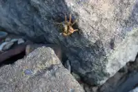 泉州2天1晚攻略 | 穿越千年的海絲之旅