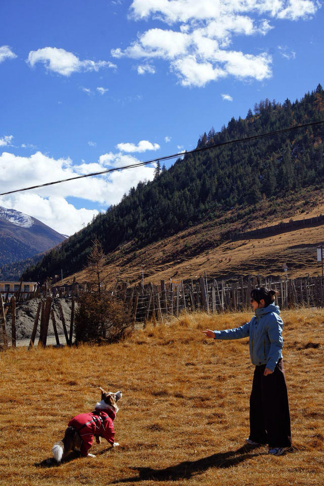 甲根壩|親測一條超chill路線追到貢嘎絕景 懶人福音!甲根壩+木雅措垭口日照金山攻略,這次親測 甲根壩|親測一條超chill路線追到貢嘎絕景 懶人福音!甲根壩+木雅措垭口日照金山攻略,這次親測