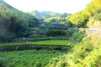 很有意思的村莊，豬頭嶺村？消失的世外桃源