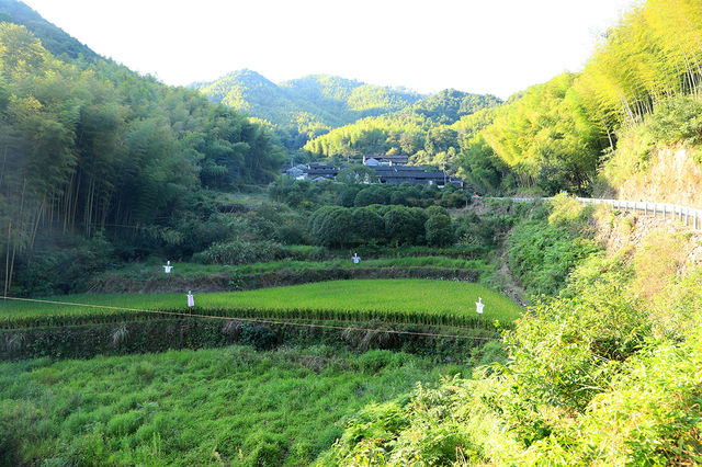 很有意思的村莊，豬頭嶺村？消失的世外桃源