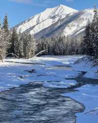 禾木假日酒店,完美的ski in ski out