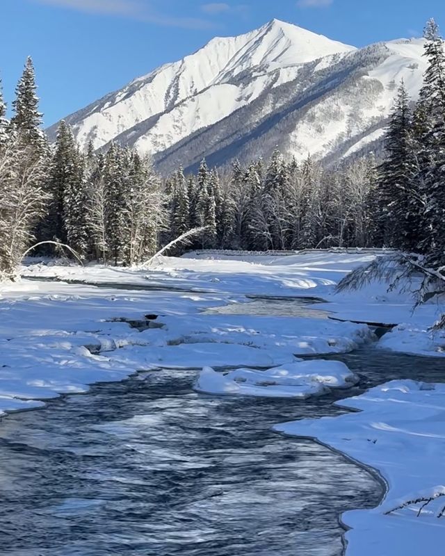 禾木假日酒店,完美的ski in ski out 禾木假日酒店,完美的ski in ski out
