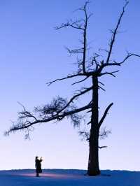 自駕新疆｜凜冬之際，與喀納斯的一場邂逅～