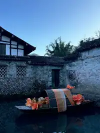 週末遛娃| 楠溪江半日遊看一池錦鯉