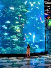 本地人親測,這裡就是泉州遛娃天花板