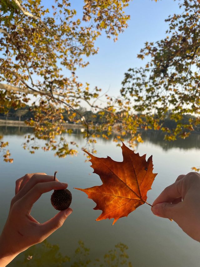 江南最後的秘境!慈城古鎮一日遊保姆級攻略 江南最後的秘境!慈城古鎮一日遊保姆級攻略