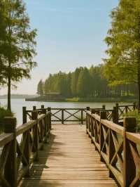 杭州灣濕地公園親子攻略!觀鳥+科普+遛娃一站