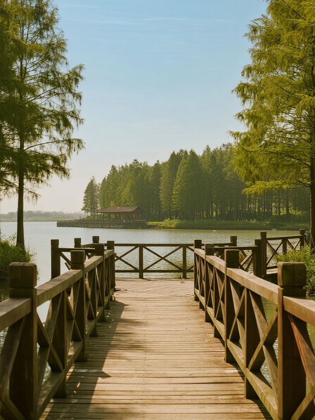 杭州灣濕地公園親子攻略!觀鳥+科普+遛娃一站 杭州灣濕地公園親子攻略!觀鳥+科普+遛娃一站