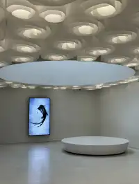 來芬蘭就是來提升審美的