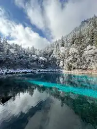 11.20九寨溝現狀，真心提醒未出行的寶