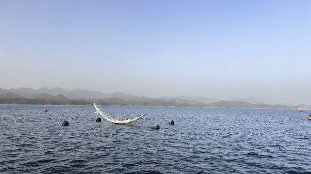 千島湖的藍綠美學 周末逃離城市計劃get!這裡的湖水清澈見底,連呼吸都是甜的~ - 必打卡景點 千島湖的藍綠美學 周末逃離城市計劃get!這裡的湖水清澈見底,連呼吸都是甜的~ - 必打卡景點