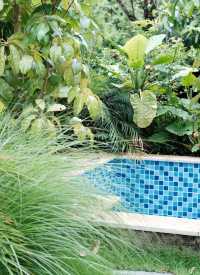 清遠隱世度假村推薦