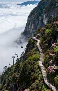 蒼山索道秘境打卡