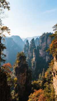 帶上家人來張家界四天三晚，玩轉阿凡達仙境！