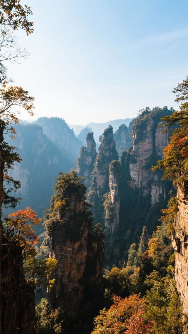 帶上家人來張家界四天三晚，玩轉阿凡達仙境！