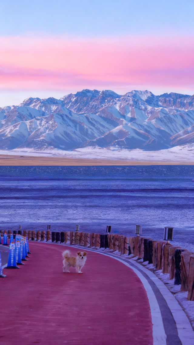 實拍新疆阿勒泰，人生一定要帶愛的人去一次