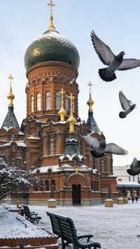 今年的哈爾濱怎麼玩?