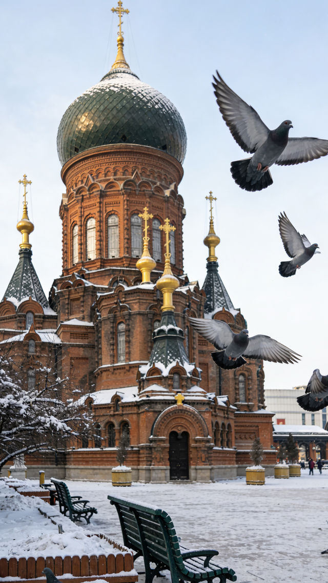 今年的哈爾濱怎麼玩? 今年的哈爾濱怎麼玩?