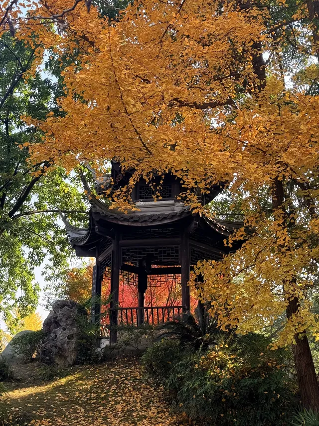 在成都隱藏的江南園林!感受一場盛大的秋天 在成都隱藏的江南園林!感受一場盛大的秋天