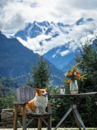 帶狗子去川西「小瑞士」阿布的若丁山|誰說川西只有稻城