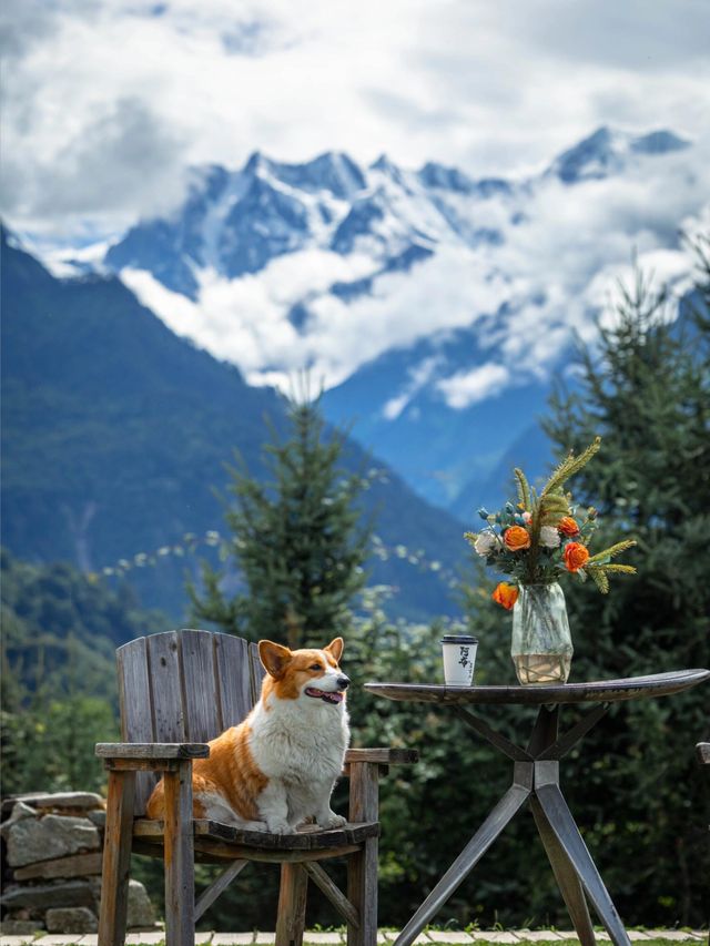 帶狗子去川西「小瑞士」阿布的若丁山|誰說川西只有稻城