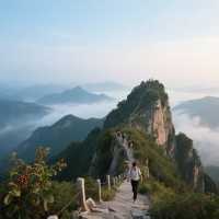 就像一位藏在深閨的絕色佳人，一顰一笑都讓人沉醉