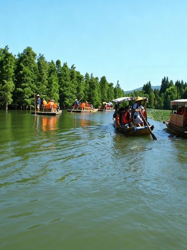 避開人潮!尚湖8.5折購票+隱藏月季園,親測不踩雷 避開人潮!尚湖8.5折購票+隱藏月季園,親測不踩雷