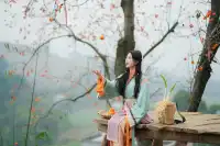 誰還沒去大貴州拍柿子？朋友問了10000次