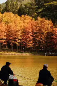 18圖帶你看深圳秋冬限定美景