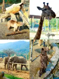 玩瘋了 | 兩天一夜龍之夢也太快樂了吧！