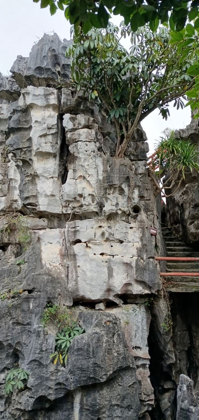 beyong風景丨在崇左,我進行了一場「地理人文」的閱讀 beyong風景丨在崇左,我進行了一場「地理人文」的閱讀