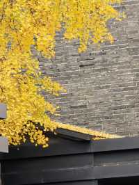 西安城牆賞秋好去處