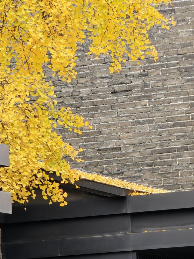 西安城牆賞秋好去處 西安城牆賞秋好去處