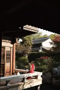 古老和現代的藝術碰撞|濮院古鎮秋季雙年展